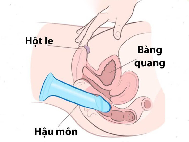 Dùng dương vật giả kích thích cửa sau