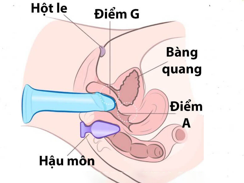 Kích thích vào cả âm đạo và hậu môn