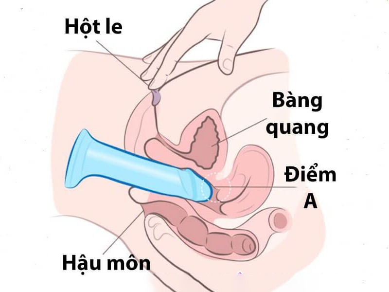 Kỹ thuật đẩy sâu (đẩy lút cán)