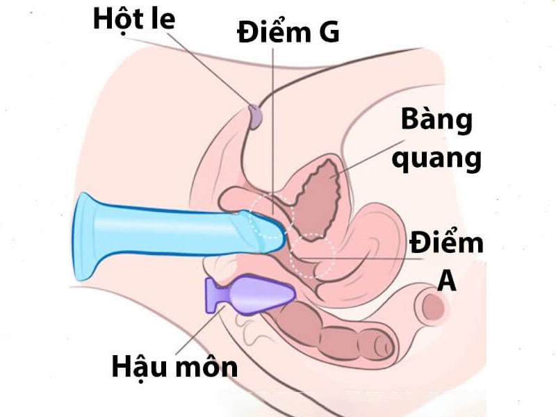 Kỹ thuật ngắn và nông khi dùng dương vật giả