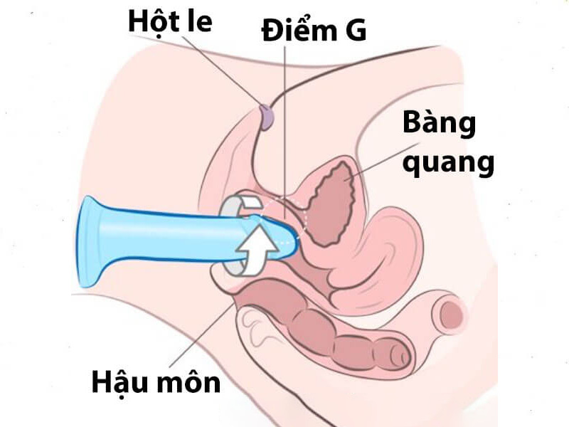 Kỹ thuật xoay dương vật giả để đạt cực khoái