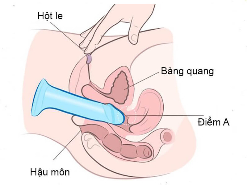 Giữ yên dương vật giả trong âm đạo và kích thích vào hột le